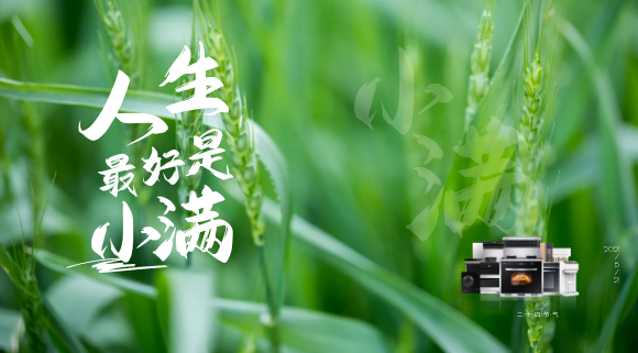 十大品牌科恩集成灶：廚房亦需“小滿”！