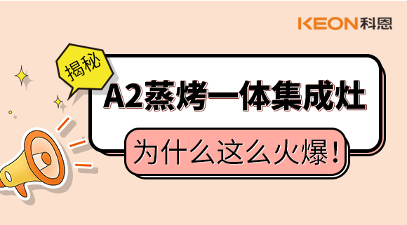 揭秘！蒸烤一體集成灶為什么這么火爆！